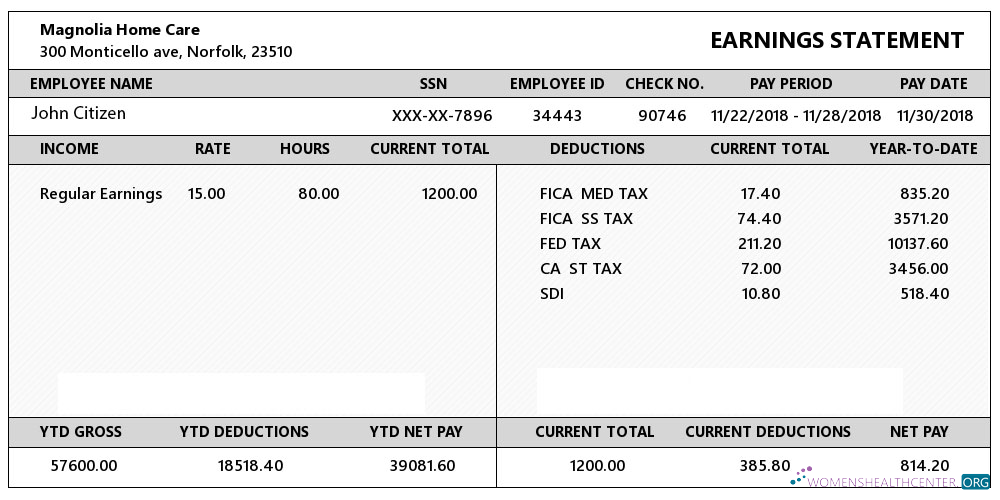 Download USA VIRGINIA Magnolia Home Care earning statement in Word and PDF formats Photoshop template